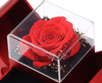 Collar Colgante Rojo De Lujo Con Zirconia Para Mujer Joyería De Moda Romántica Para Novia Caja De Regalo De Apple Regalo De Navidad 2023 - details 6