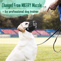 Mordaza Para Perros Anti Masticar Llorar Y Morder Con Tela Suave De Malla Cómoda Y Correa Ajustable Mordaza Loop Para Recuperación - details 2