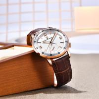 Reloj Mecánico PAGANI DESIGN 2024 Pilot 42MM Moda Casual Cristal De Zafiro Luminoso Acero Inoxidable Resistente Al Agua - details 11