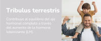 Testosterona para Hombre, Rendimiento Muscular, Fuerza, Vigor, Energía  Fenogreco, Tribulus Terrestris, Ácido D-Aspártico, Ashwagandha KSM-66, Maca Andina, Zinc, Boro y Piperina, 60 Cápsulas (Zeus) - details 4