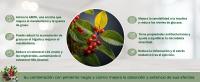 Resilience -Berberina 1000 mg con Pimienta Negra, Extracto de Berberina Pura en Cápsulas Veganas,  Suplemento Natural para Control de Glucosa, Colesterol y Salud Cardiovascular, Berberina HCl 120 Cápsulas - details 1
