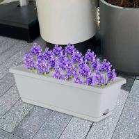 2 Piezas De Macetas Rectangulares Para Ventanas Con Agujeros Para Drenaje Decoración De Jardín Exterior Macetas Para Plantas En Casa - details 7