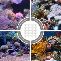 Soporte De Coral Para Acuario En Forma De T Base Cerámica Para Reproducción De Cefalópodos Y Decoraciones Para Jardín - details 4