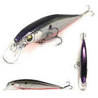 THETIME PHANTOM2 110SP Suspend Wobbler Minnow Lure 110mm 19g Artificial Señuelo Para Pesca En El Agua Media Para Peces Y Salmón En Río Lago Oceán - details 4