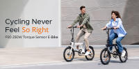 ENGWE P20 Bicicleta eléctrica plegable, motor silencioso de 250W con sensor de par, batería de 36V 9.6A, neumáticos de 20*1.95'', velocidad máxima de 25km/h, alcance de 100km, frenos de disco hidráulicos, Prácticos accesorios gratuitos - Verde - details 0