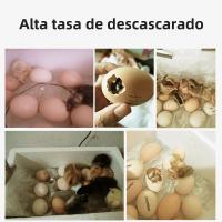 Incubador De Huevos 20 Unidades Para Pato Ganso Pollo Ajuste Automático De Temperatura Herramienta De Eclosionamiento De Huevos De Aves De Corral - details 6