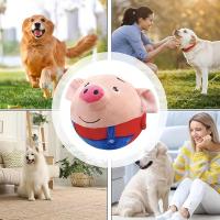 Juguete Interactivo Pequeño Para Perros Peluche De Cerdo Dibujos Animados Lavable Con Sonido Y Movimiento Electrónico Bola Saltante - details 8