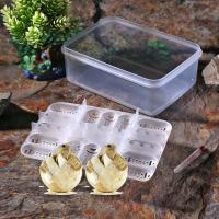 Caja De Incubador Para Huevos De Reptiles 16 Compartimentos Plástico Adecuado Para Lagartos Serpientes Herramienta De Terrario - details 0