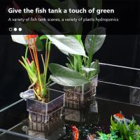Cesta Para Plantas De Acuario Transparente Decoración Colgante Para Tanque De Peces Soporte Para Plantas Acuáticas - details 1