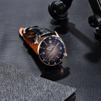 Reloj Mecánico PAGANI DESIGN 2024 Pilot 42MM Moda Casual Cristal De Zafiro Luminoso Acero Inoxidable Resistente Al Agua - details 14