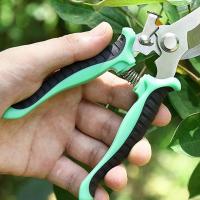 Tijeras De Podar Multifuncionales De Acero Inoxidable Para Jardín Árbores Frutales Flores Corte Fino De Ramas Venta Al Por Menor - details 21