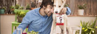 * 5 Pack - SNACKYS - Snacks, Premios, Pequeños y Deliciosos para Todos los Perro, SIN GLUTEN, 6 Sabores Diferentes - details 0