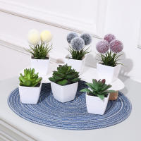 Juego De Macetas De Plástico Evergreen Para Decoración De Escritorio Y Oficina Estilo Suculentas Sin Mantenimiento Realista - details 33