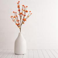 Plantas Artificiales De Calabaza Y Hojas De Maple Para Decoración De Halloween Arreglo Floral Para Sala De Estar Festivales Y Fotografía De Props - details 14