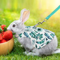 Conjunto De Ropa Para Mascotas Estilo Impresión Transpirable Para Conejos Y Perros Uso Al Aire Libre Correa Y Collar Personalizado - details 10
