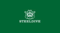 Reloj De Buceo Automático STEELDIVE SD1953 Nuevo Con Pantalla De Doble Color En Acero Inoxidable Cristal De Zafiro 300M Impermeable Para Hombres - details 26