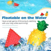 Juguete Refrescante Para Mascotas Durable En Forma De Fruta Hielo Con Alimentos Para Perros Y Gatos Juguetes De Masticar Resistentes Al Verano - details 2