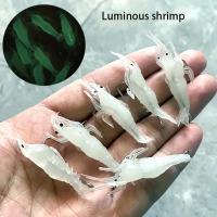 Goture Arrugas De Camarón Para Agua Dulce Y Salada Con Anzuelo Fino Y Abalorios Set De 20pcs Lanzadores De Señalización Luz - details 3