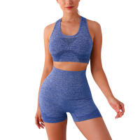 Conjunto De Yoga Para Mujer 2PCS Sin Costuras Top De Manga Larga Y Leggings De Cintura Alta Deporte Fitness Gimnasio Ropa Deportiva Transpirable Y Cómoda - details 20