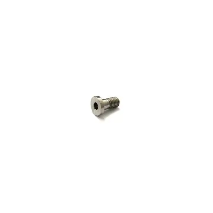 Amscope Tornillo de Titanio M8x15mm para Reparación de Bicicletas - 1