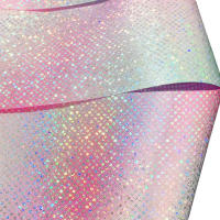 Banda De Danza Brillante Y Plateada 2m/4m Para Niños Accesorios De Entrenamiento De Gimnasia Y Ballet Rodillo De Twirling Artístico De Aro De Deporte - details 7