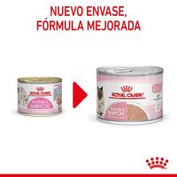 12 x 195 g - Royal Canin Mother & Babycat Mousse   Alimento Completo para Gatos  Especial para gatas Madres y Sus Cachorros  para reforzar Las defensas del organismo - details 1