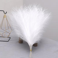 Tenvity 15pcs Bouquet De Flores De Pampas Artificiales Para Decoración De Hogar Boda Navidad Vaso DIY Fiesta Bedroom Plantas De Juncos Falsas - details 2