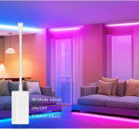 Tiras De LED WS2811 RGBIC Inteligentes 24V 5M 10M 15M 20M Control Por Alexa Wifi Luz De Píxel Flexible 5050 Para Decoración De Hogar - details 9