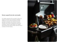 CREATE - Barbacoa de gas con quemador lateral y mesa auxiliar - BBQ GAS BURNER PRO - details 3