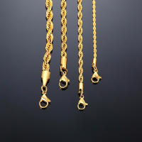 Cadena De Acero Inoxidable Para Hombres Minimalista Y Larga Disponible En Oro Y Plata 2 a 5 Mm Collar De Cadena Twist Unisex - details 11