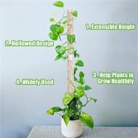 Soporte De Planta Para Escalada Jaula De Soporte Para Plantas Moss De Plástico Verde Accesorios Para Jardín Vínculo De Menta Para Interior - details 3