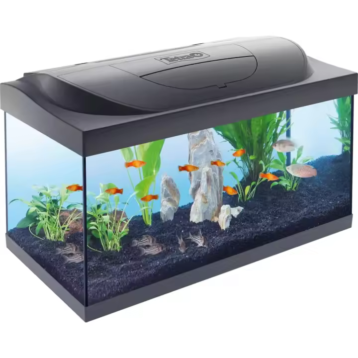 Kit Tetra Starter Line LED Diurna/Nocturna 54L. Acuario de inicio grande - 1