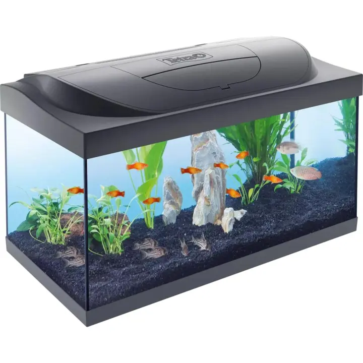 Kit Tetra Starter Line LED Diurna/Nocturna 54L. Acuario de inicio grande - 1