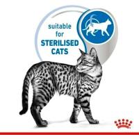 Precio Especial por Caducidad 09/07/2025-12 x 85 g | Royal Canin Indoor Sterilised en Gelatina | Alimento Completo para Gatos Adultos Que Viven en casa | para Gatos esterilizados | Trozos en gelatina - details 5