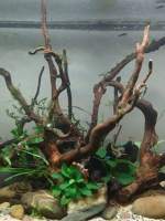 Adorno De Acuario De Madera Muerta En Forma De Tronco Ornamento De Micro Paisaje Reptiles Y Peces Decoración Natural Para Aquarium - details 3