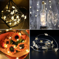 Luces De Navidad LED Estrelladas USB 60 Leds Decoración De Fiestas Y Bodas Para Jardín Y Habitaciones Luz Fairy Para Interior Y Exterior - details 3