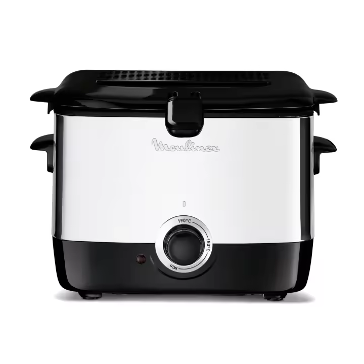 Moulinex AF220010 Freidora, Capacidad 1 l de Aceite, para Unos 600 gr de Comida, Acero Inoxidable, Bol Antiadherente, Filtro Metálico Incluido, Termostato Ajustable, Plástico, Negro, Plateado - 1