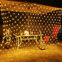 Luz De Encaje LED Para Cortina 3x2m 200led EU 220V Decoración De Jardín Exterior Navidad Boda Fiesta Accesorio De Hogar - details 1