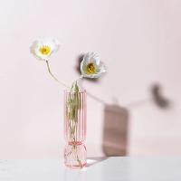 Vaso De Cristal Transparente Con Rayas Para Flores Y Planta Pot De Cultivo En Agua Decoración De Mesa Para Bodas Y Fiestas - details 7