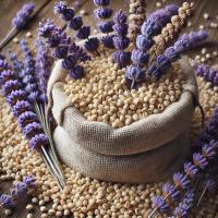 BP Peluche Térmico Loro Rojo con Relleno Natural de Lavanda para Calentar y Enfriar - details 2