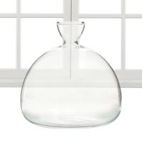 Kit De Crecimiento De Semillas De Agarrope Vaso De Vidrio Transparente Para Cultivo De Semillas Regalo Para Amantes Del Jardín Decoración Del Hogar Estilo Moderno - details 1