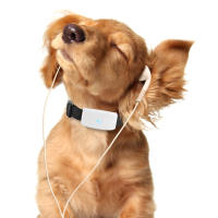 Rastreador GPS Para Mascotas TK911 Mini Locator TKSTAR Con APP Libre Y Resistente Al Agua IP67 Mejor Rastreador GPS Para Perros Con 2G GSM Batería De Vida Larga De 30 Horas O Más - details 0