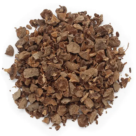 Bayas de Cipres Secas para Cosmética Natural | Fruto 100% Natural en Trozos | Propiedades Antifúngicas y Fortalecedoras | Ideal para Crear Tinturas y Extractos | Ingrediente Cosmético de Calidad - 1