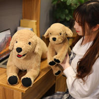 Muñeco De Peluche Labrador Realista Para Niños Regalo De Cumpleaños Juguete Suave De Perro Creativo 35/75cm Stuffed Animal Puppy Dolls - details 16