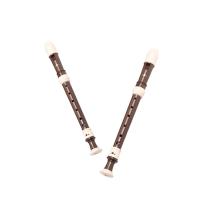 Clarinete De Barroco Treble Grabador Con Ocho Agujeros ABS Instrumento De Música De Viento Para Adultos Principiantes Práctica Removible - details 0