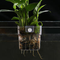 Cesta De Plantación Para Acuario Soporte Hydroponic Colgante Para Maceta De Hierba Acuática Y Flores Pots De Flor En Lámina De Acero Inoxidable Para Tanque De Peces - details 4