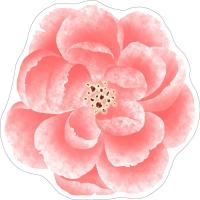 Alfombra De Piso En Forma De Loto Peonía Y Magnolia 60x60cm Antideslizante Floral Para Sala De Estar Mesa De Té Cama - details 6