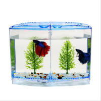 Caja De Acuario Para Pez Grande Con Dos Compartimentos Ecológica Plástico Isolación Para Cría Y Aislamiento Mini Acuario - details 1