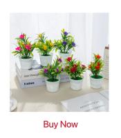 5/10pcs Hojas De Ciprés Para Decoración De Navidad Y Bodas Artesanías Y Flores Decorativas Plantas Artificiales De Prensa PP - details 7