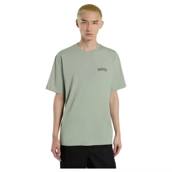 Camiseta de Manga Corta Dickies Snake para hombre en color verde - 1